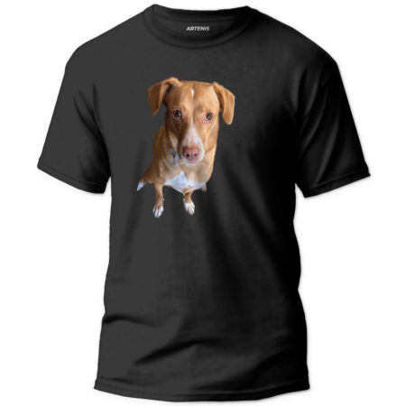 Remera Personalizada