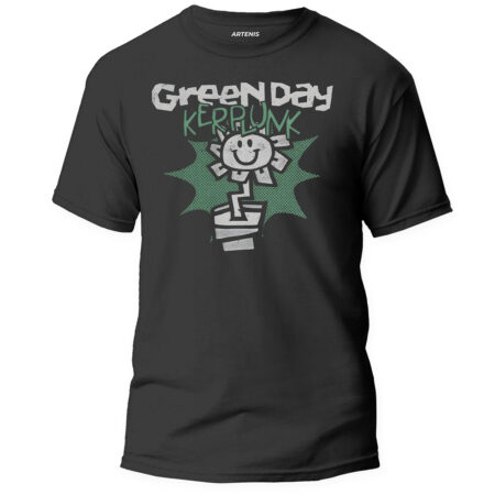 Remera Green Day Kerplunk