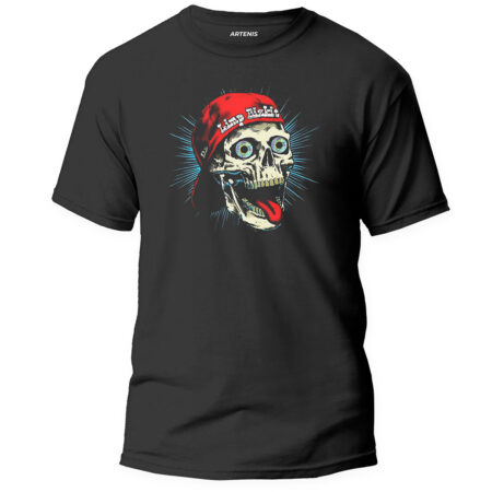 Remera Limp Biskit Calavera
